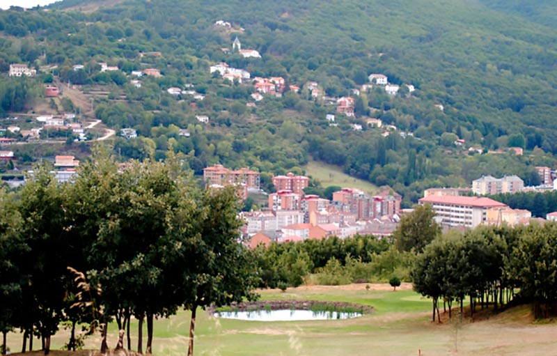 Bejar cerrallana
