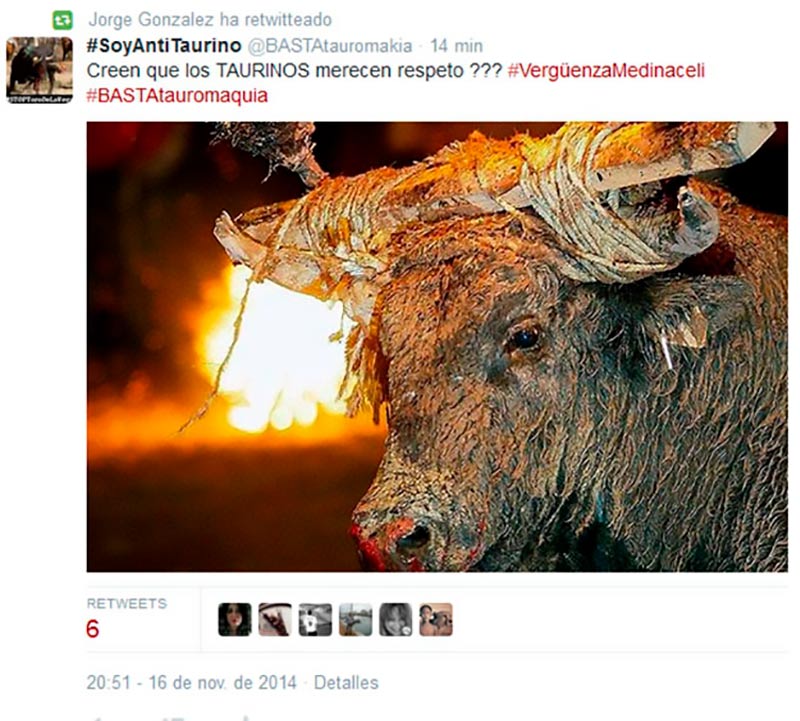 toro de medinaceli