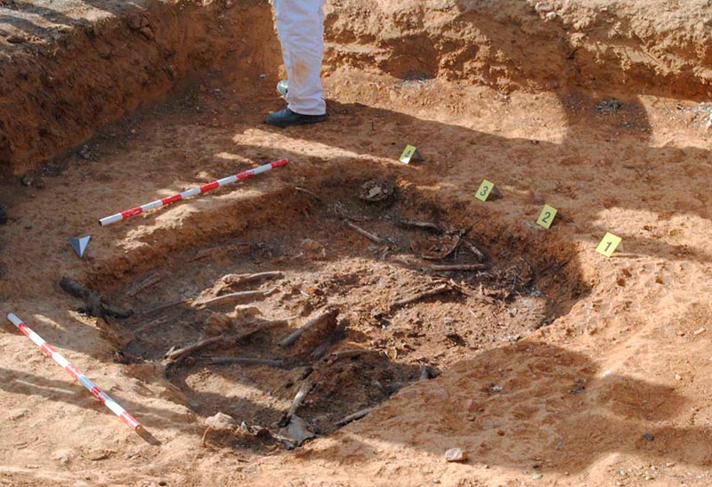 La fosa común donde han estado enterrados Fabián Montes, Francisco Bárez, Juan José San Hermógenes y Serafín García.