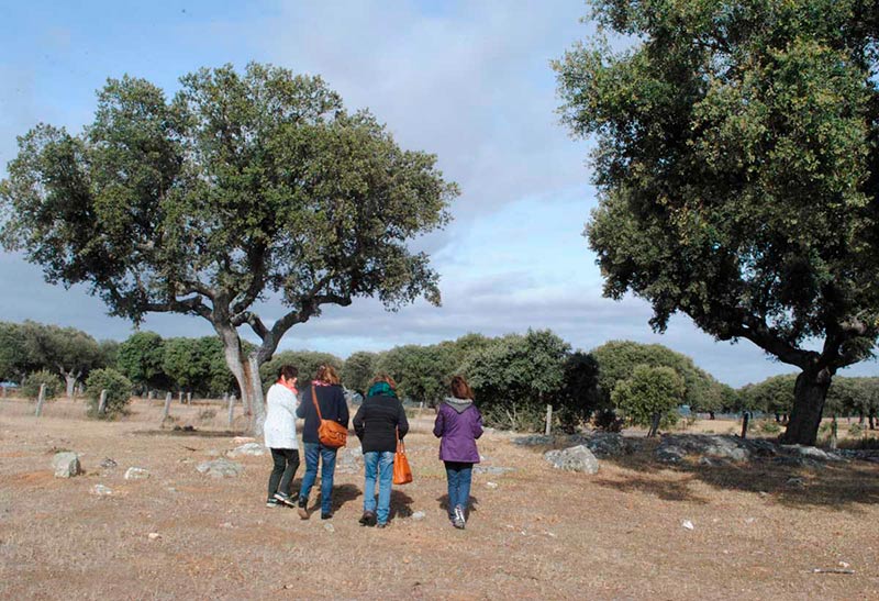 Teresa, Lucía, Concha y Consuelo, nietas de Fabián Montes y Francisco Bárez respectivamente, en el lugar donde fueron fusilados sus abuelos, a unos doscientos metros de donde fueron enterrados en el 36.