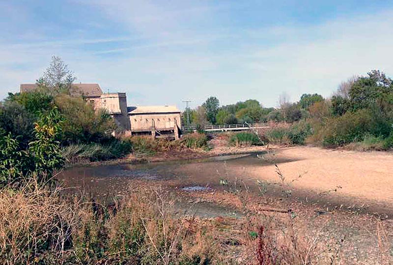 La Pesquera de Tejares.