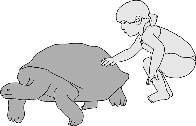 Imagen en la que se muestra el tamaño comparativo entre un ejemplar en vida de la nueva tortuga terrestre Pelorochelon junto a una niña pequeña.