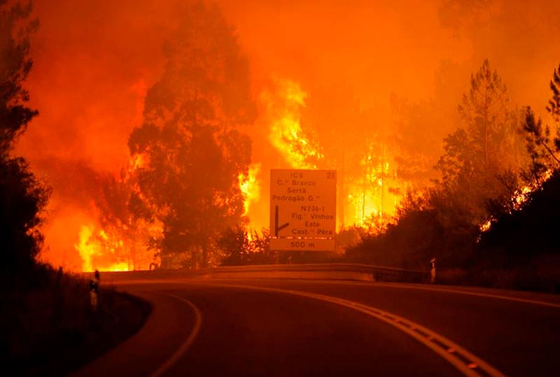 El incendio arrasa todo cuanto encuentra en su camino.