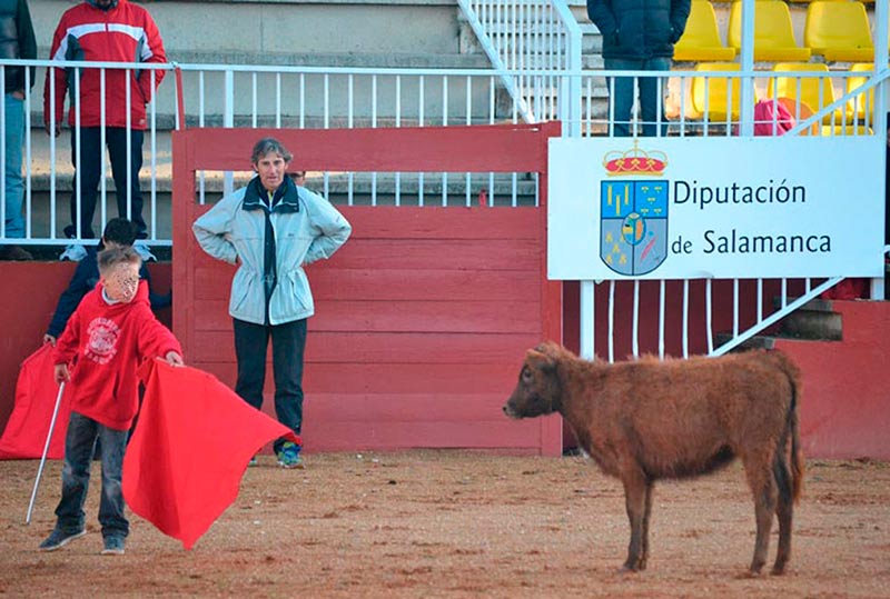 La Escuela de Tauromaquia de la Diputación (Foto: Archivo /  Diputación)