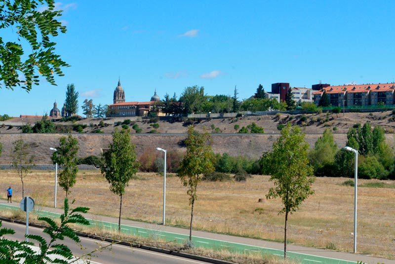 La Calzada Romana, 600 metros, se encuentra oculta y va paralela al carril bici y a la carretera de Vecinos.