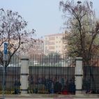 Niños en un colegio salmantino. Niños en un colegio salmantino.