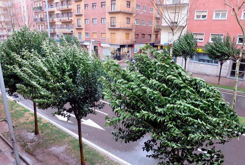 El viento, en la avenida de Portugal.
