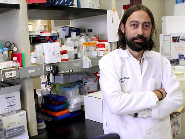 Adolfo García-Sastre estudió en la Universidad Biología y Filosofía y actualmente es profesor del Departamento de Microbiología y director del Instituto de Salud Global y Patógenos Emergentes de la Escuela de Medicina Icahn en Mount Sinai en Nueva York.