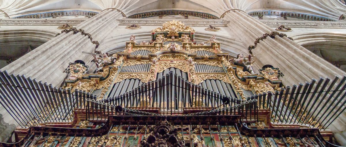 Órgano de la Catedral Nueva. 