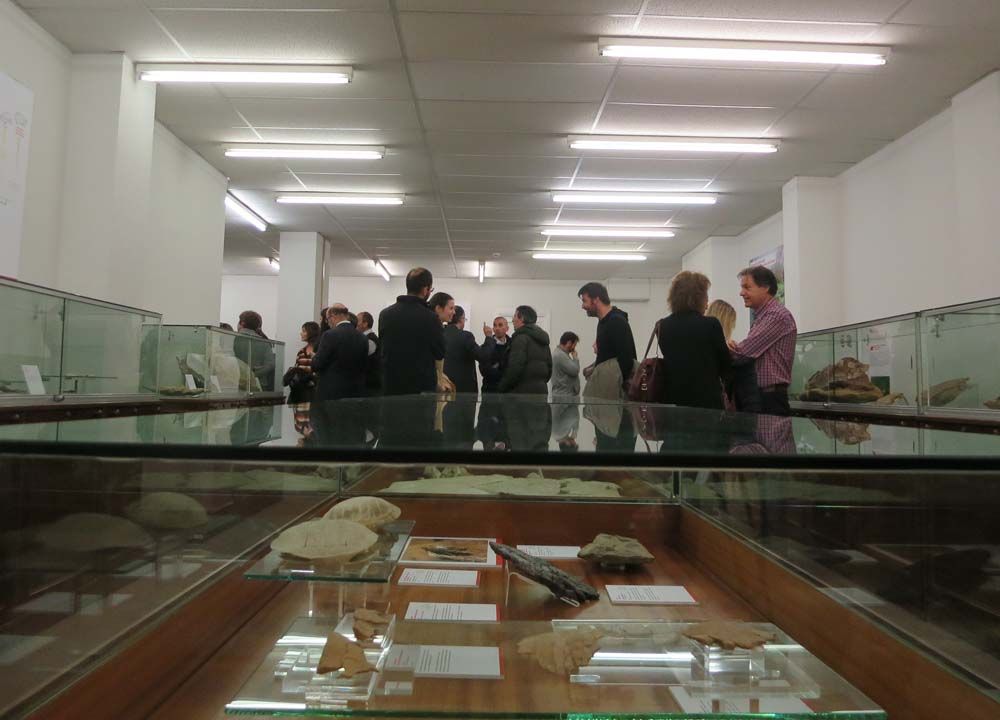 Inauguración de la remozada Sala de las Tortugas en la Facultad de Ciencias 