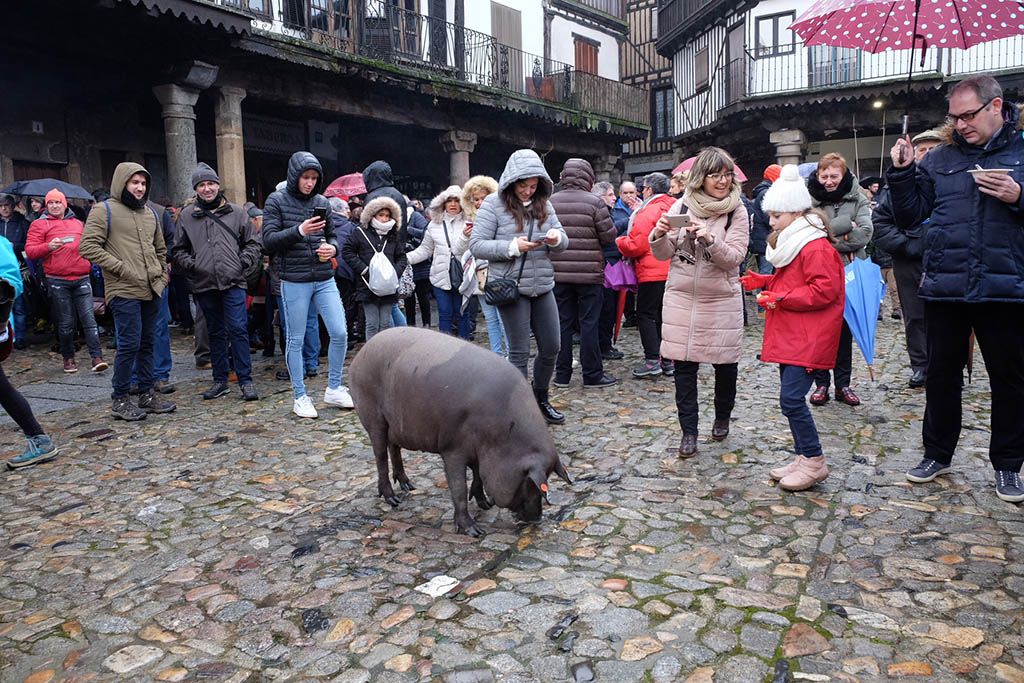 Jesús Formigo / ICAL La Alberca celebra la rifa del marrano de San Antón con la visita de Vicente del Bosque