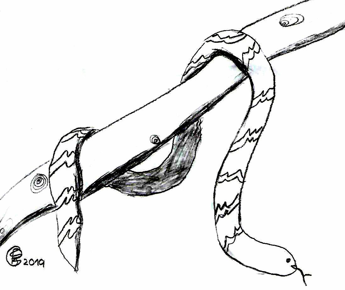 La culebra (dibujo de Patricia Jiménez Cardeña, febrero 2019)