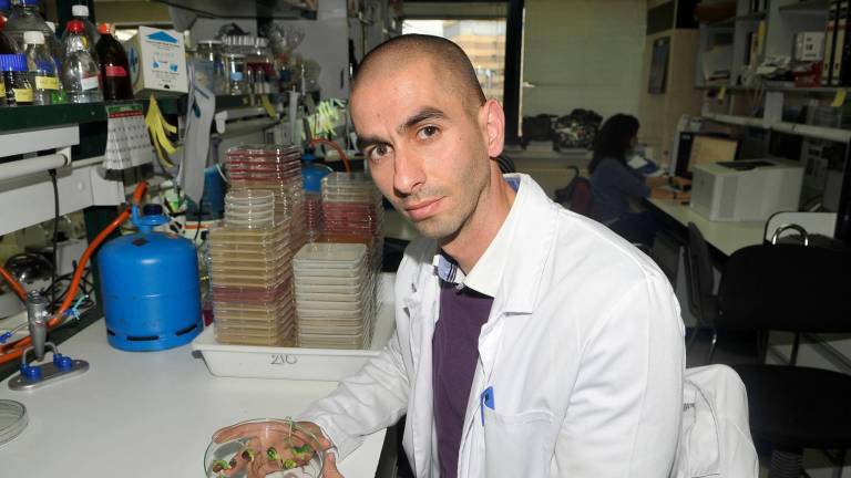 Raúl Rivas, profesor titular de Microbiología.
Departamento de Microbiología y Genética de la Universidad de Salamanca. Foto. Usal. 