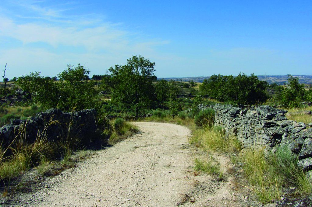 Paisaje del camino que une Trabanca y Villarino (Foto: MInisterio)