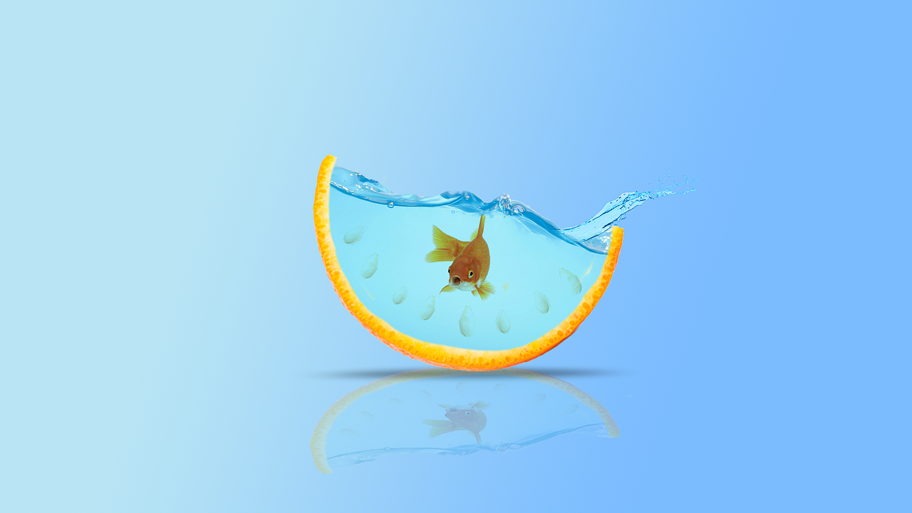Imagen de Hardy Peters en Pixabay 