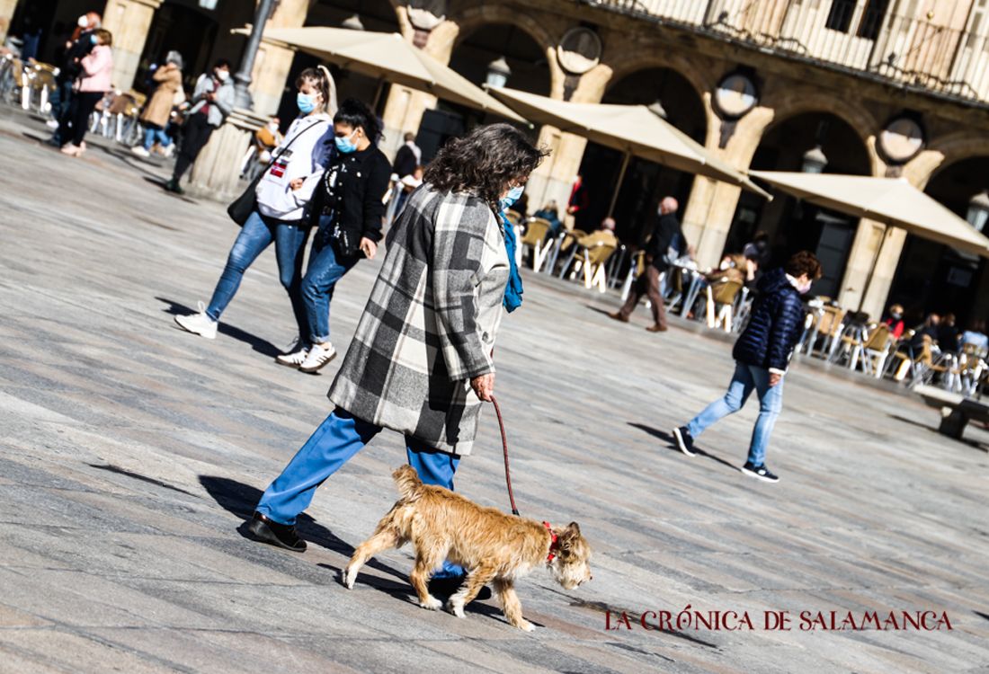 Salmantinos por la Plaza Mayor, en octubre. (Foto: David Martín Sánchez)
