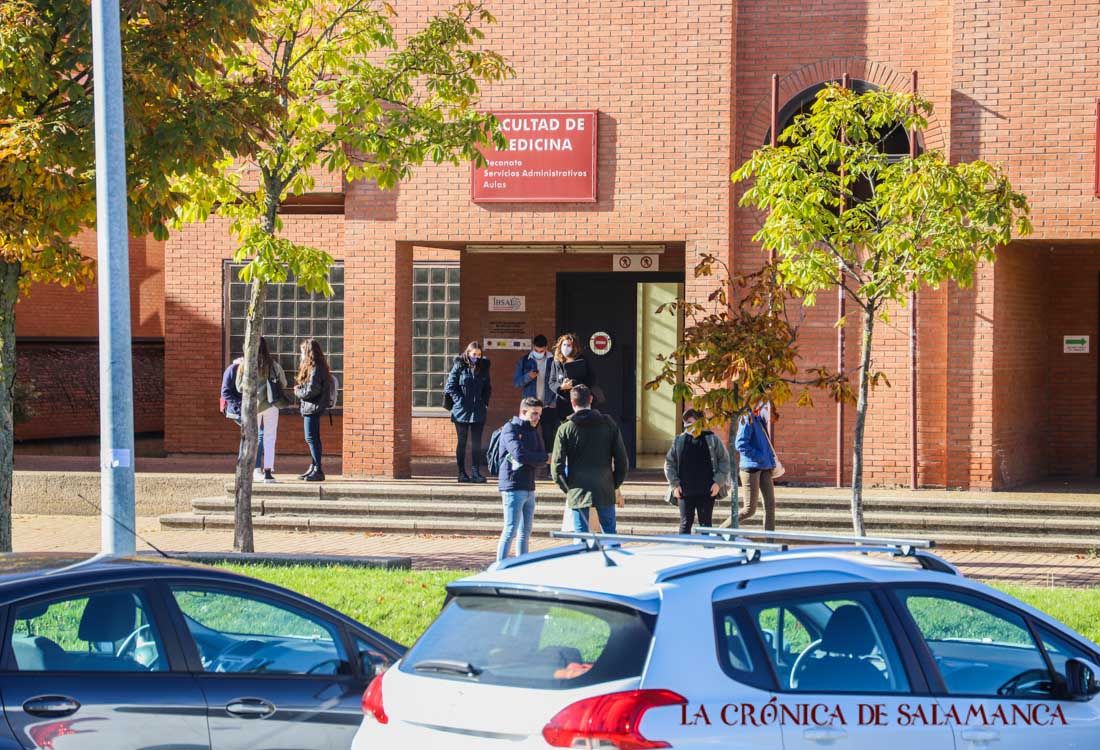 Universitarios en el campus Unamuno. 
FOTO. David Martín. 
