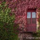 El otoño en uno de los patios del Colegio Fonseca. 