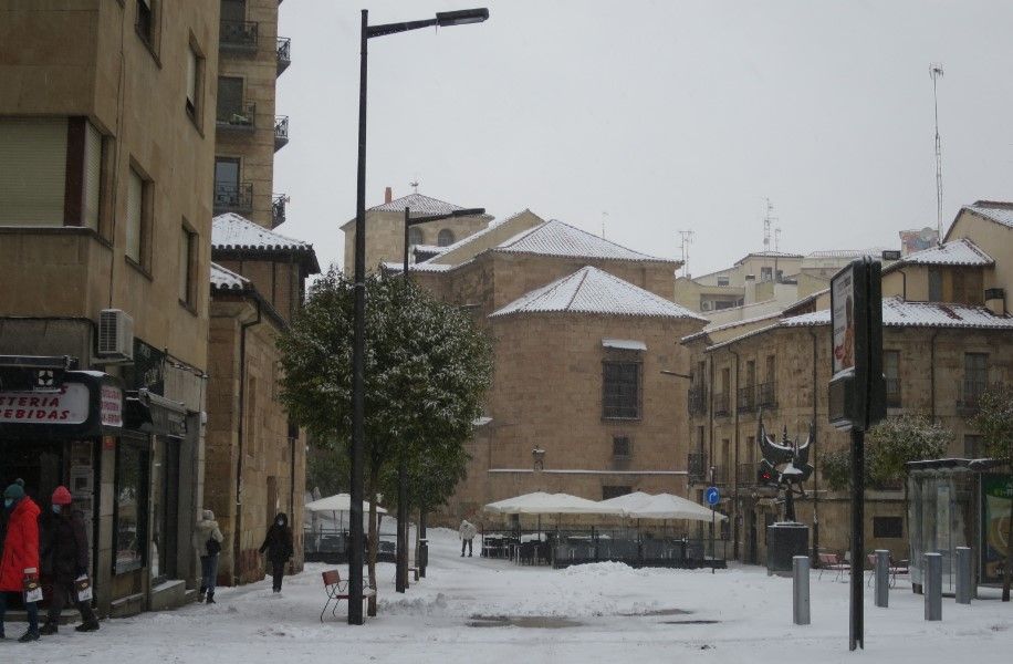ciudadanos sobre la nieve