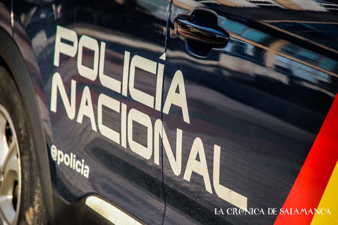Un vehículo de la Policía Nacional. (Archivo/David Martín)