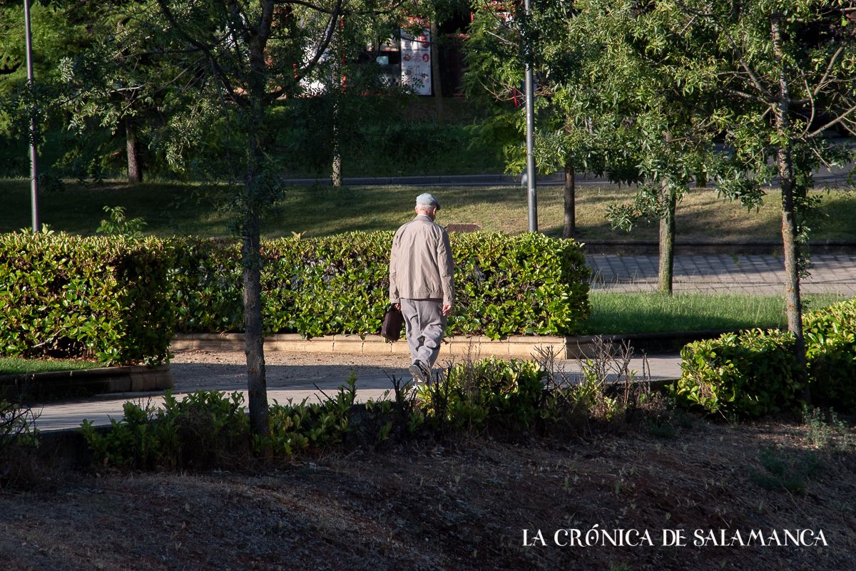 Un hombre pasea por uno de los parques de Pizarrales. 