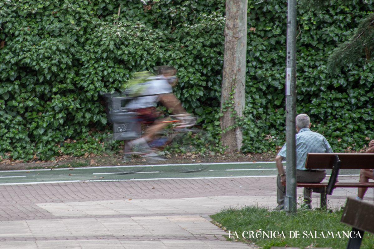 El parque de los Jesuítas. El parque de los Jesuítas.