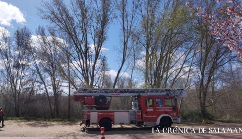 Los Bomberos y el ciclista con su bici en el árbol.