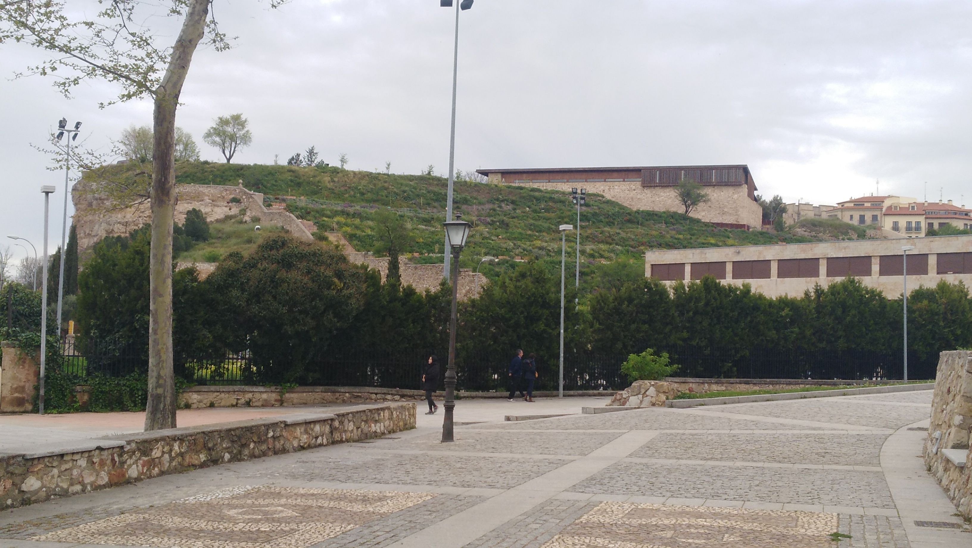 Cerro de San Vicente. 