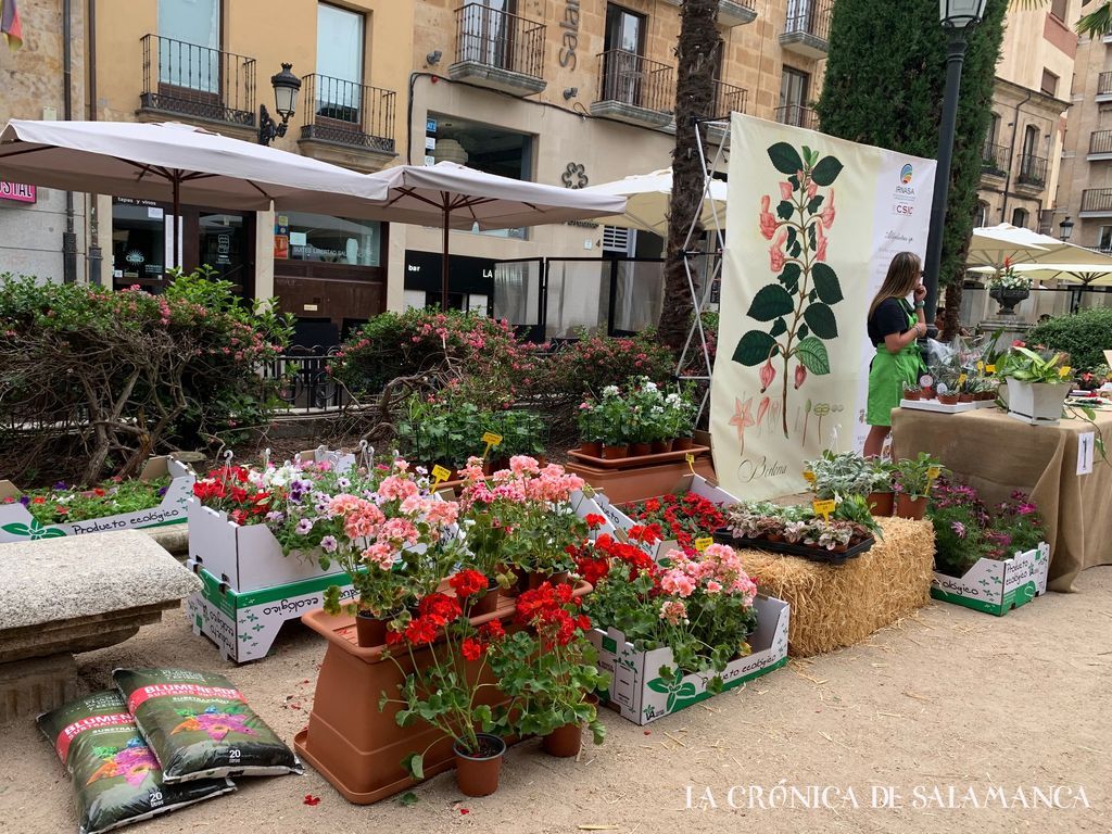 Uno de los puestos del mercado de las flores de 2022.