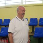 Vicente del Bosque