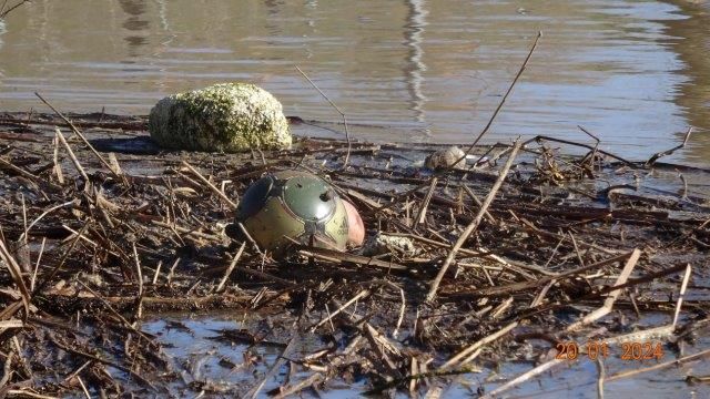 Los 'tesoros' que afloran con la crecida del Tormes a su paso por la capital. 