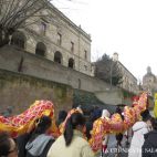 dragon chino (3)