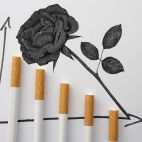 Una rosa negra con cigarros.