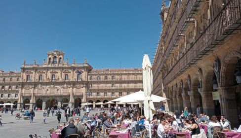 Una terraza de la Plaza Mayor. ARCHIVO. 