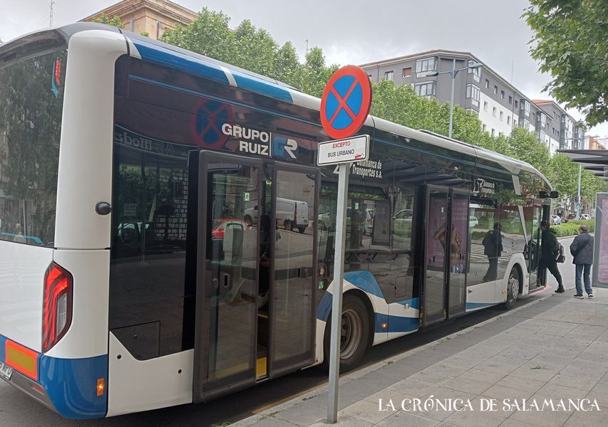 Un autobús eléctrico de la flota del bus municipal. (Archivo) Un autobús eléctrico de la flota del bus municipal. (Archivo)