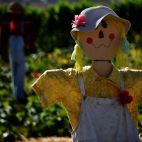 Un espantapájaros. Imagen de Circe Denyer en Pixabay