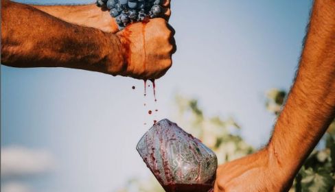 Vino D.O. Arribes. Instagram.