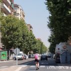 patinete paseo rollo