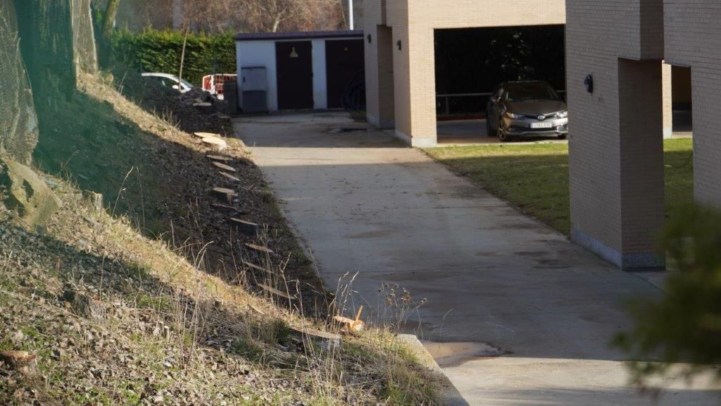 Los troncos serrados de la zona verde del colegio mayor San Bartolomé. 
