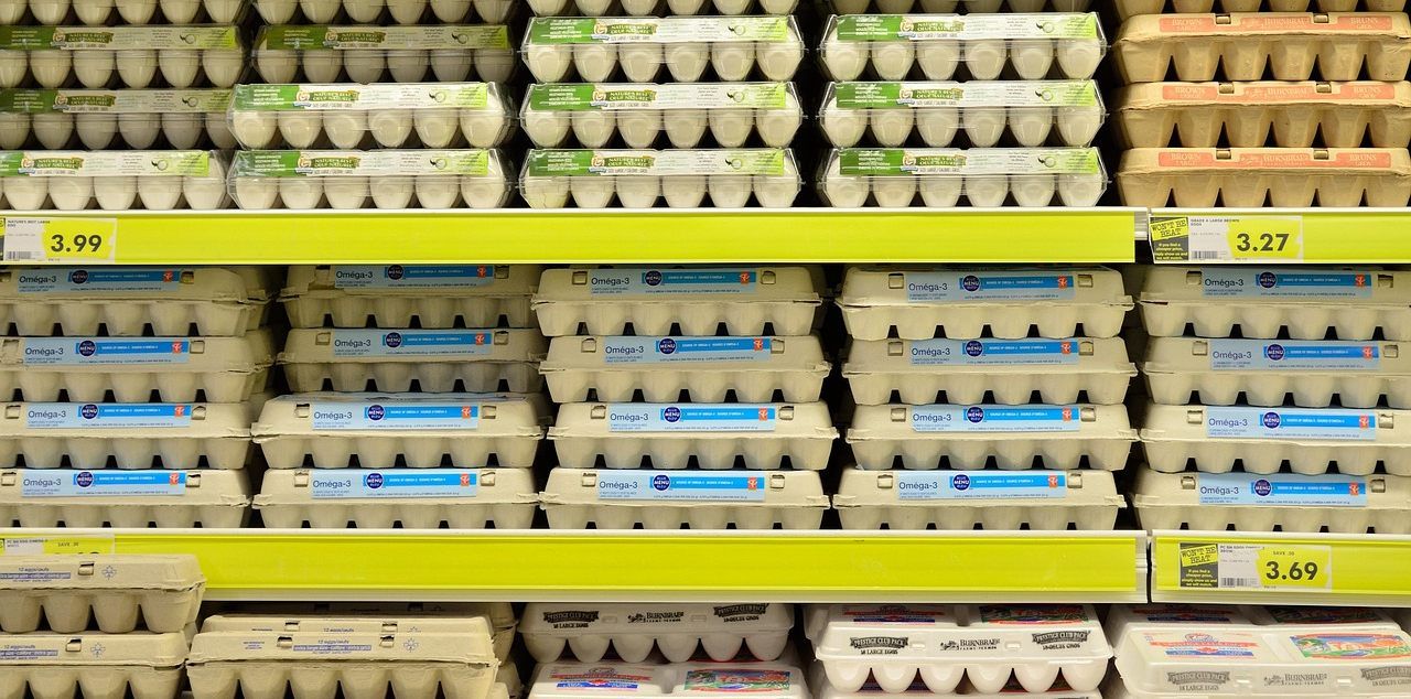 Los huevos han aumentado su precio un 24%, según la OCU. Foto: ElasticComputeFarm (Pixabay).