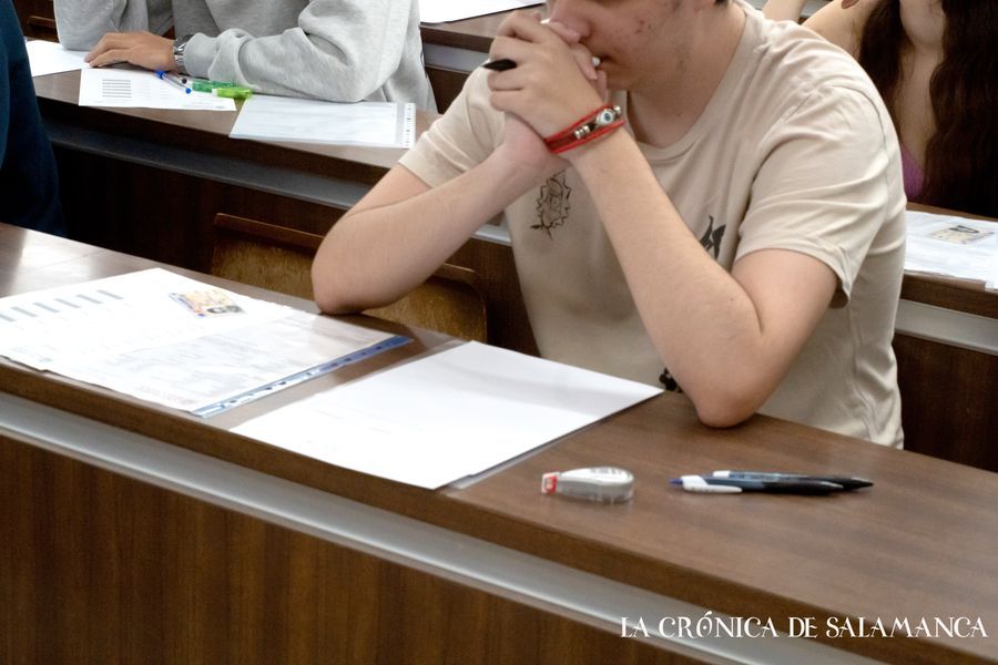 pau ebau selectividad vicente perez (8)1