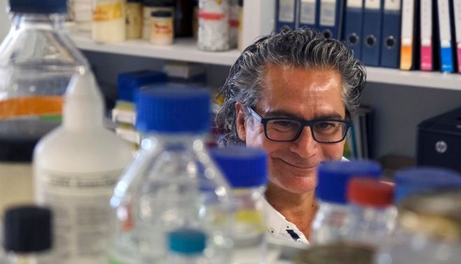 El catedrático de Bioquímica y Biología Molecular de la Universidad de Salamanca e investigador del Instituto de Biología Funcional y Genómica Juan Pedro Bolaños. (Ical/Arranz)