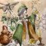 Un galeno con pócimas y ungüentos. Ilustración Chema Martín, responsable de la academia Cibeles.