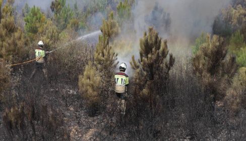 Incendio en Abejera y Riofrío de Aliste, en Zamora, este verano. Foto: Leal | Ical.