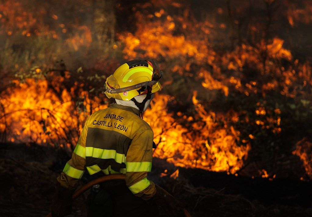 Vicente/ICAL. Un bombero forestal en el incendio de El Payo. (Archivo)
