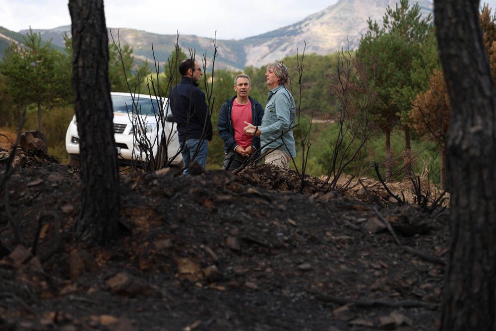 ICAL. El secretario general del PSOE de Castilla y León, Carlos Martínez, visita La Alberca, una de las zonas afectadas por los incendios.