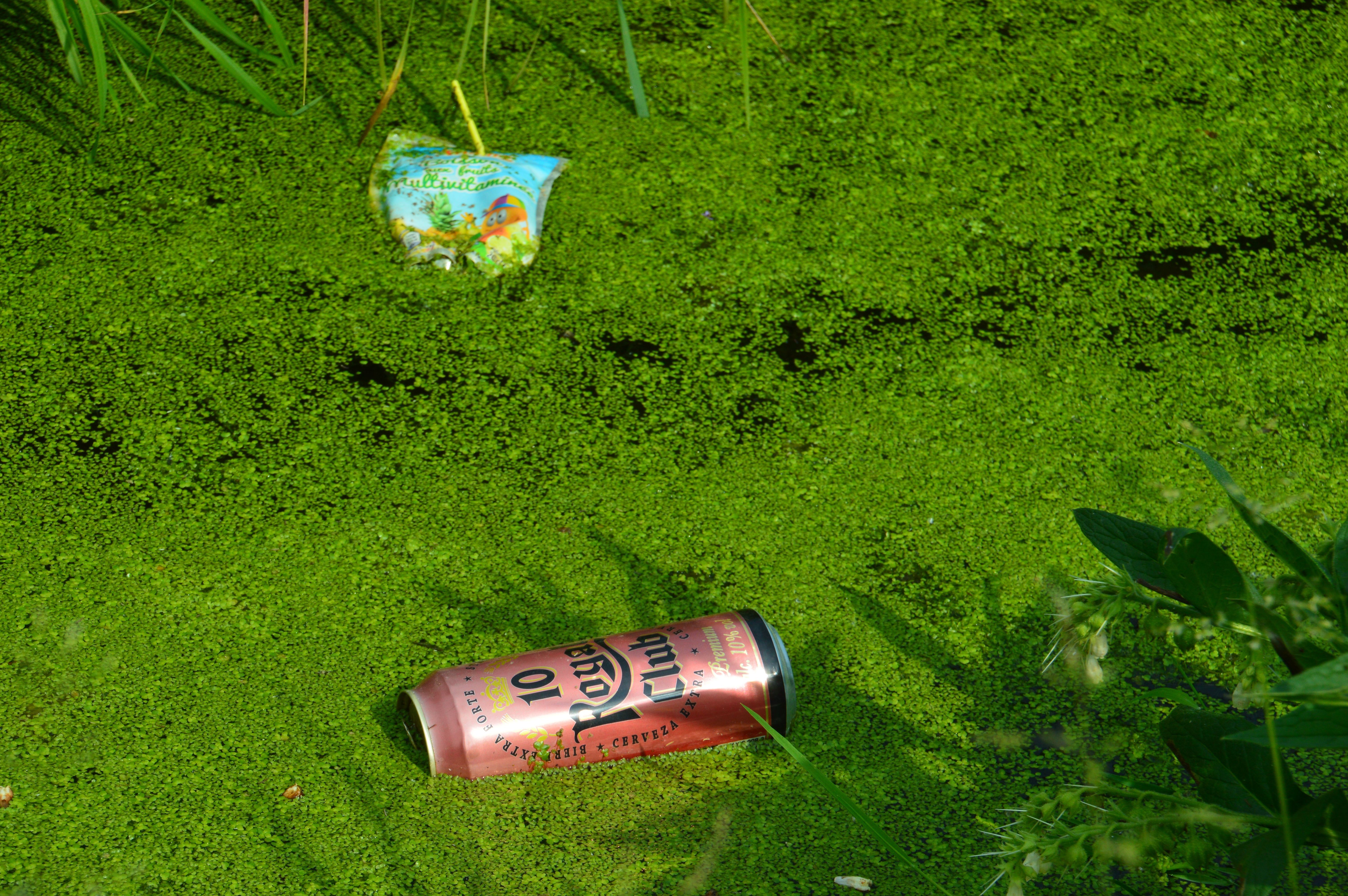 Plásticos y latas tiradas en una zona verde. Imagen de VIVIANE M. en Pixabay