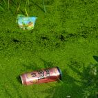 Plásticos y latas tiradas en una zona verde. Imagen de VIVIANE M. en Pixabay