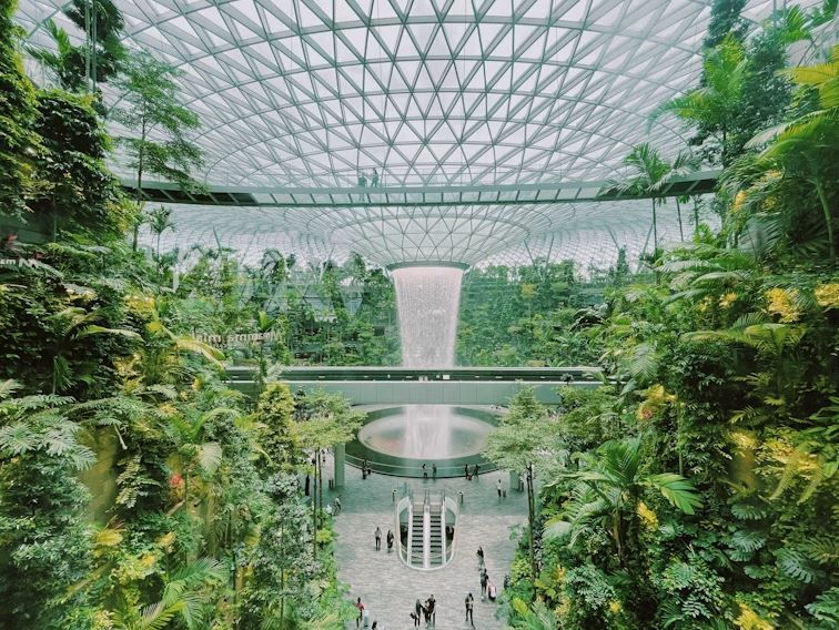 Aeropuerto de Singapur. (Unsplash)