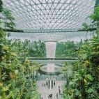 Aeropuerto de Singapur. (Unsplash)